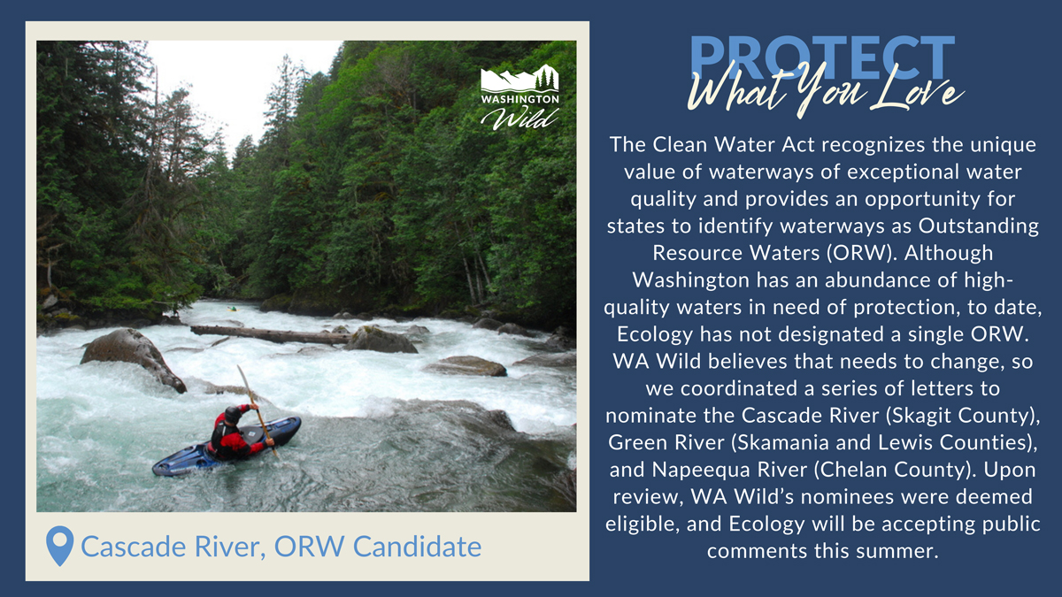 A photo of a person kayaking on the Cascade river with the following caption: The Clean Water Act recognizes the unique value of waterways of exceptional water quality and provides an opportunity for states to identify waterways as Outstanding Resource Waters (ORW). Although Washington has an abundance of high- quality waters in need of protection, to date, Ecology has not designated a single ORW. WA Wild believes that needs to change, so we coordinated a series of letters to nominate the Cascade River (Skagit County), Green River (Skamania and Lewis Counties), and Napeequa River (Chelan County). Upon review, WA Wild's nominees were deemed eligible, and Ecology will be accepting public comments this summer.