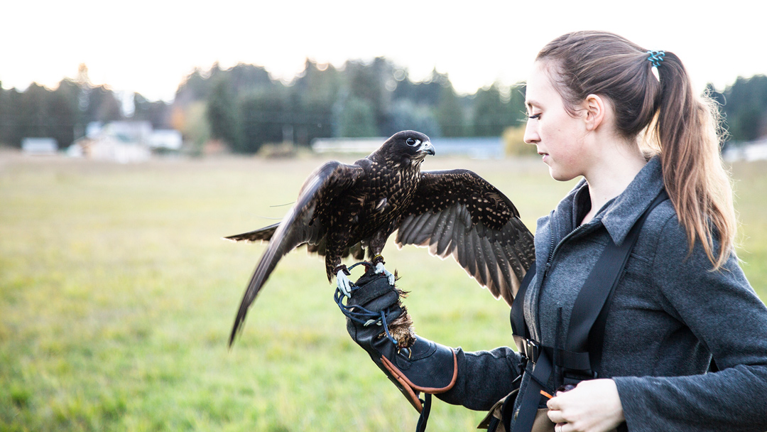 Falcanna founder Bethany poses with her falcon, Charlie