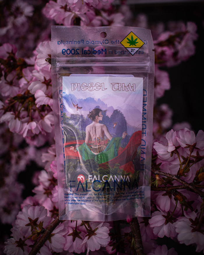 3.5g of Falcanna's Diesel Thai sits atop cherry blossoms