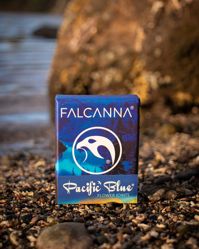 A pack of Pacific Blue prerolls sits on a rocky shoreline.