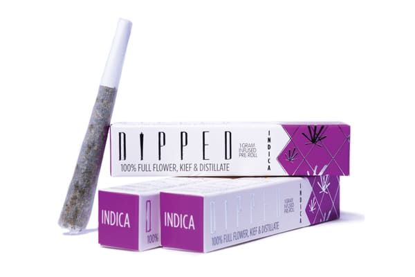 Dipped Indica pre-roll under studio lighting