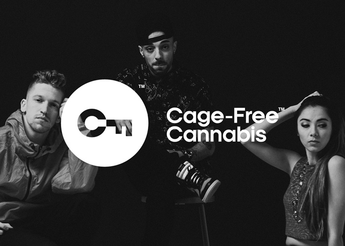 Flavr Blue group portrait with cage free cannabis logo