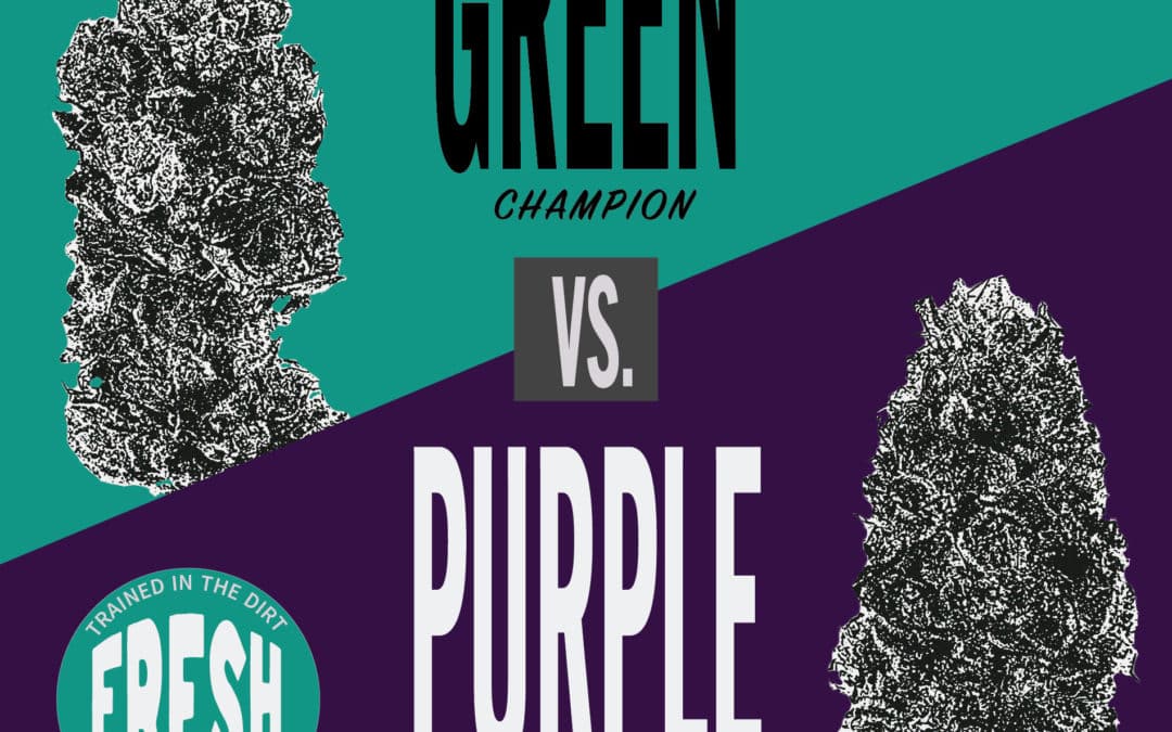 Is purple weed better than green?