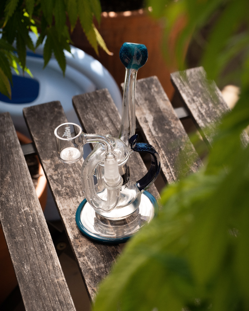A dab rig sits on an outdoor table with cannabis plants visible in the foregorund.