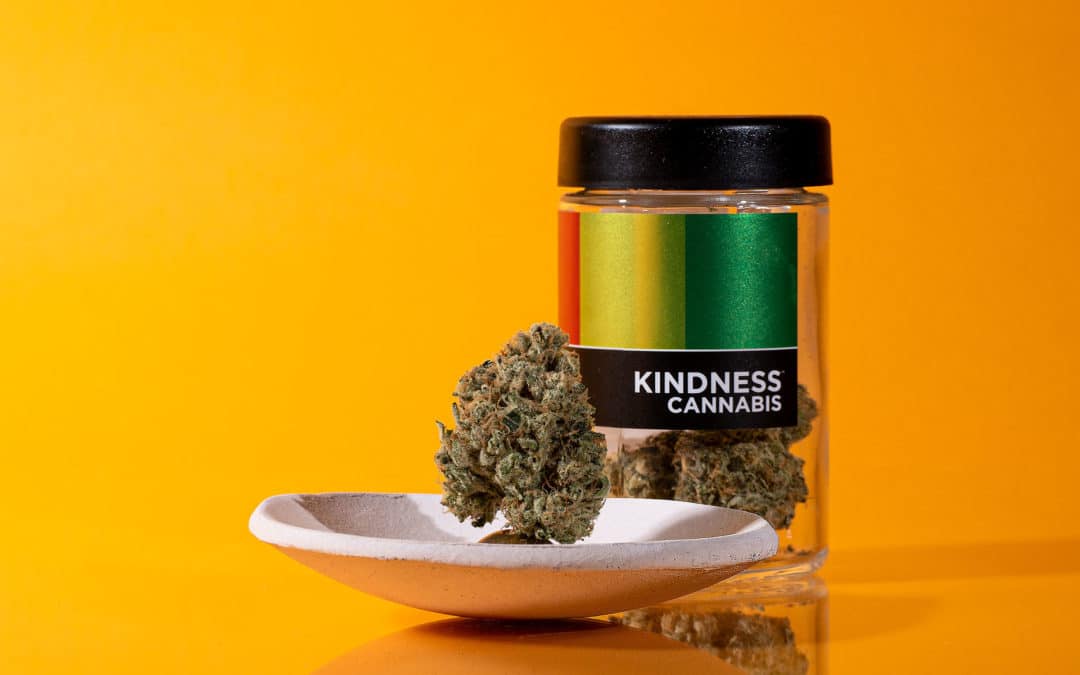 Orange Limeade: Strain Bred By Kindness Cannabis