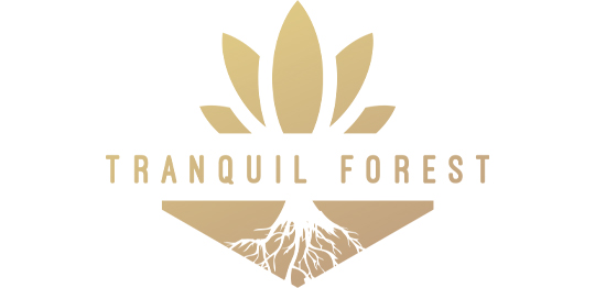Tranquil Forest Logo