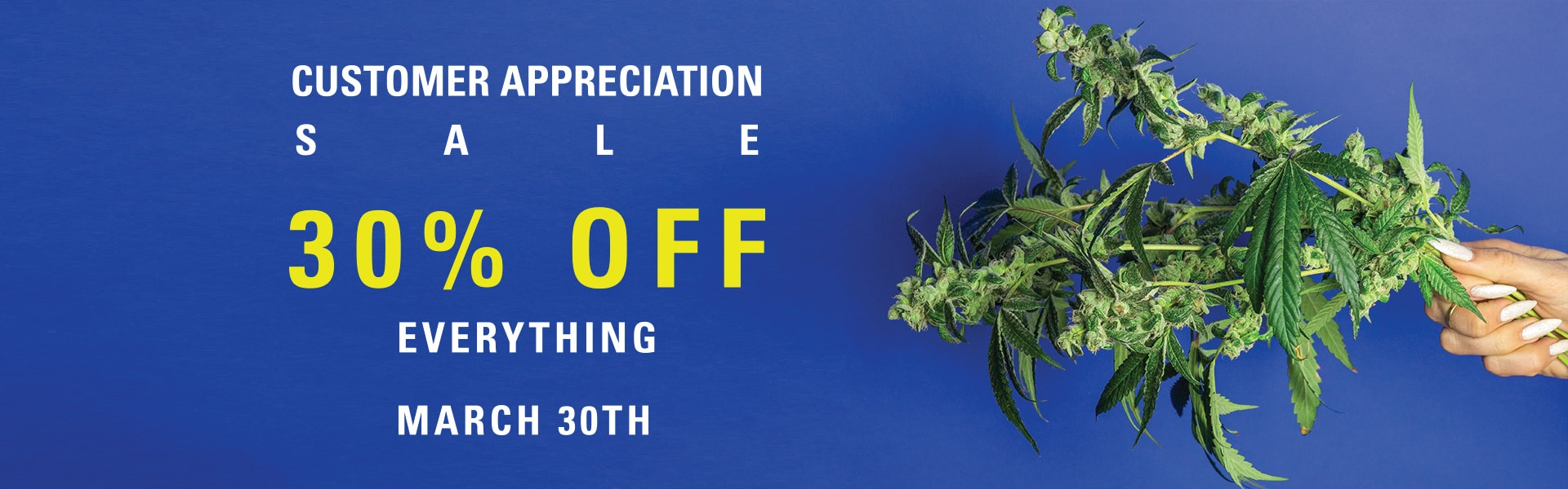 Customer Appreciation Day Sale at Lux Pot Shop