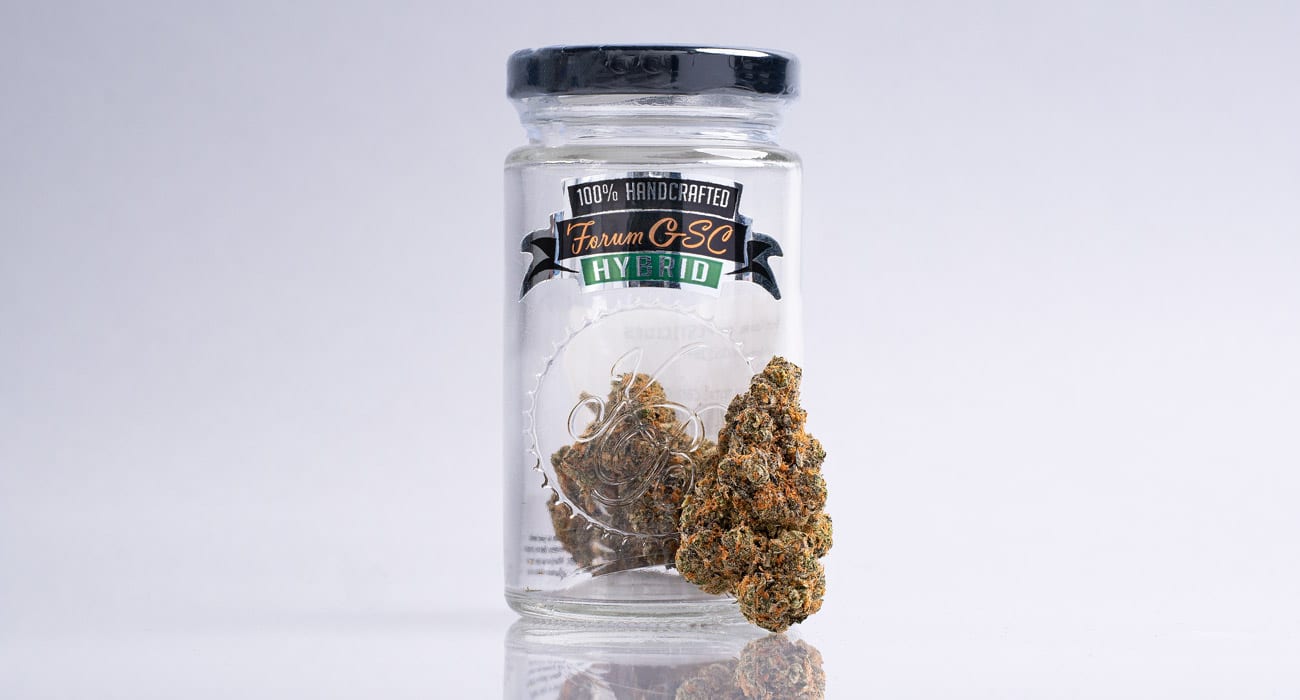 Forum Cookies grown by Kush Brothers