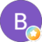 Brian Berman Avatar